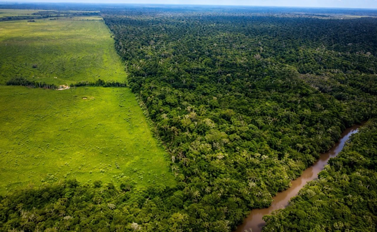 Fazenda à venda, 75480000 m² por R$ 125.000.000,00 - Bairro Novo - Tailândia/PA